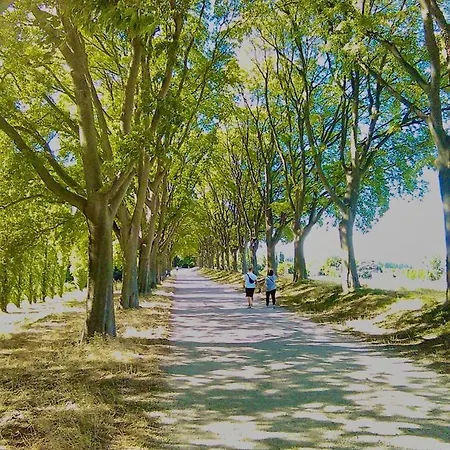 Couette-café Stanza E Bagno Privato, Idromassaggio Con Extra Fee, In