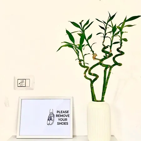 Stanza E Bagno Privato, Idromassaggio Con Extra Fee, In 3* Феррара