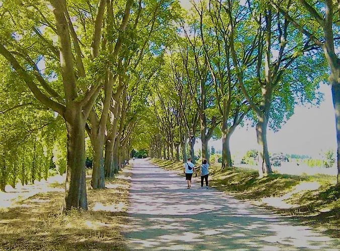 Oda ve Kahvaltı Stanza E Bagno Privato, Idromassaggio Con Extra Fee, In