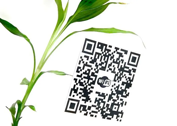 Stanza E Bagno Privato, Idromassaggio Con Extra Fee, In Ferrara