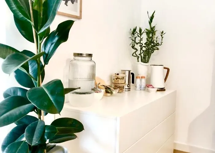 Stanza E Bagno Privato, Idromassaggio Con Extra Fee, In Отель типа 